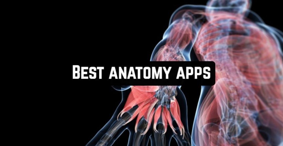 best-app-for-studying-anatomy
