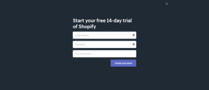shopify domain name setup