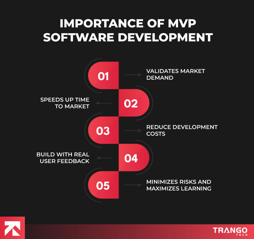 visual for Importance of MVP in Software Development