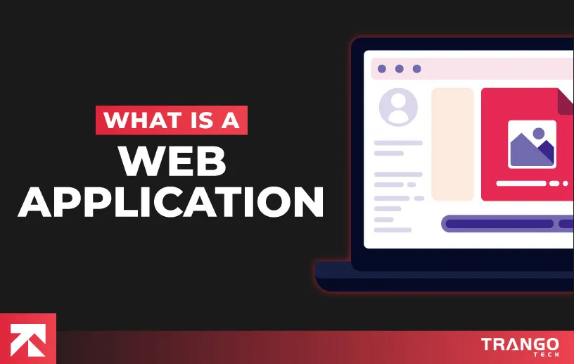 what is web application