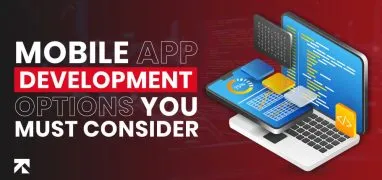 Mobile App Development Options