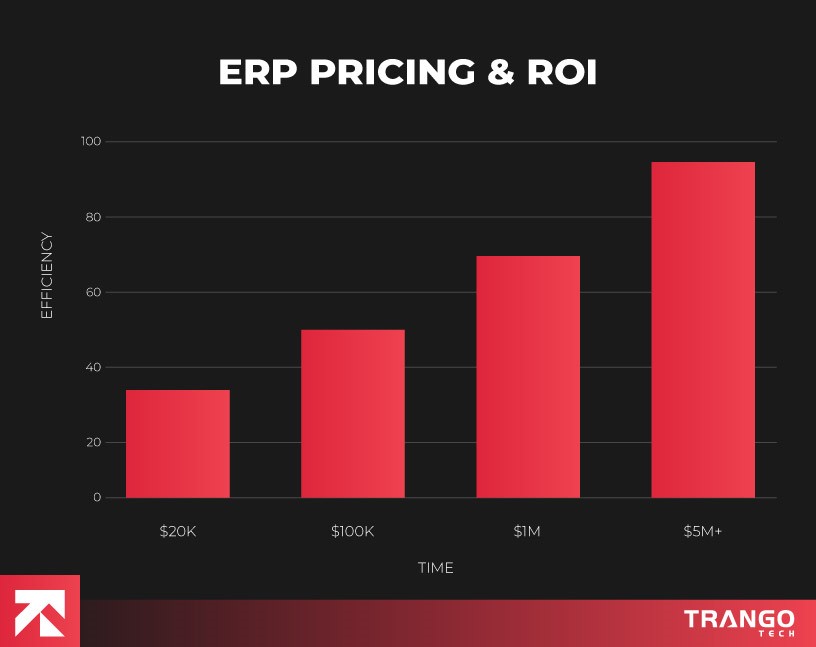 erp pricing & roi