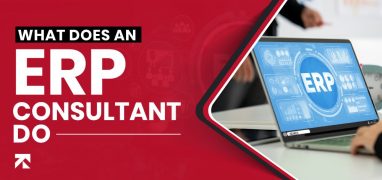 What Does an ERP Consultant Do