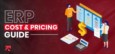 erp cost and pricing