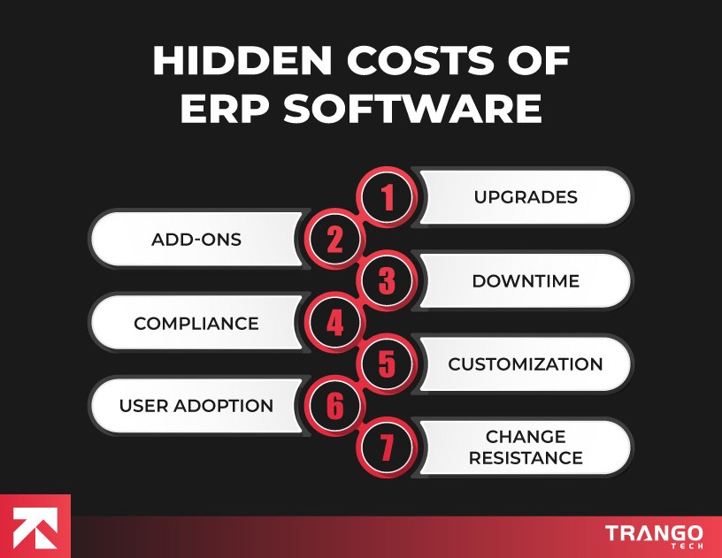hidden costs of erp software