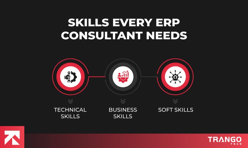 skills every erp consultant needs