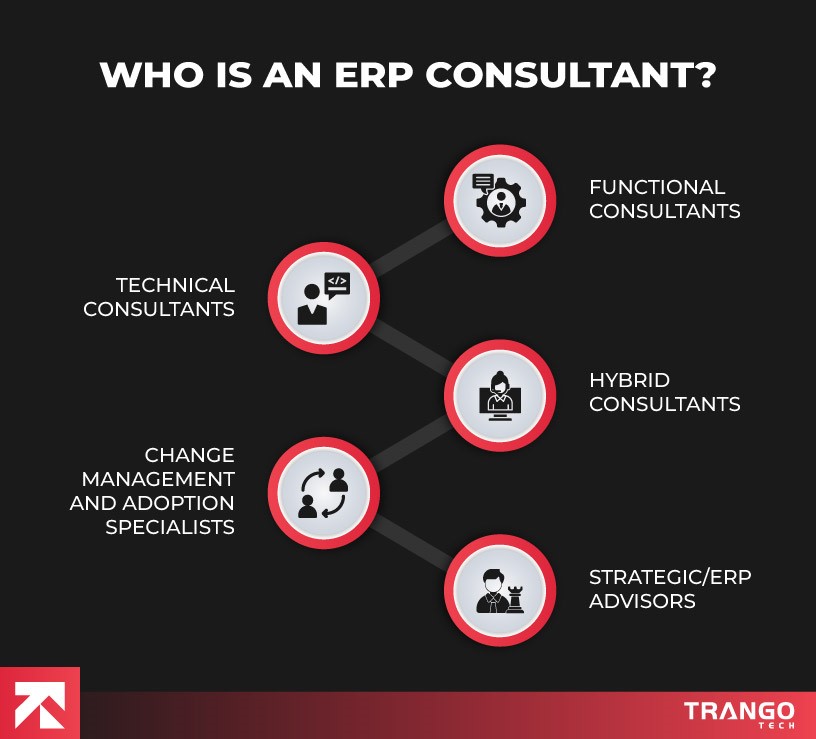 who is an ERP consultant