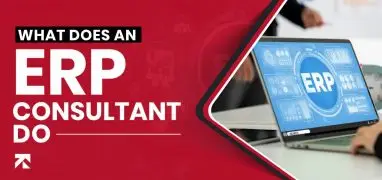 What Does an ERP Consultant Do